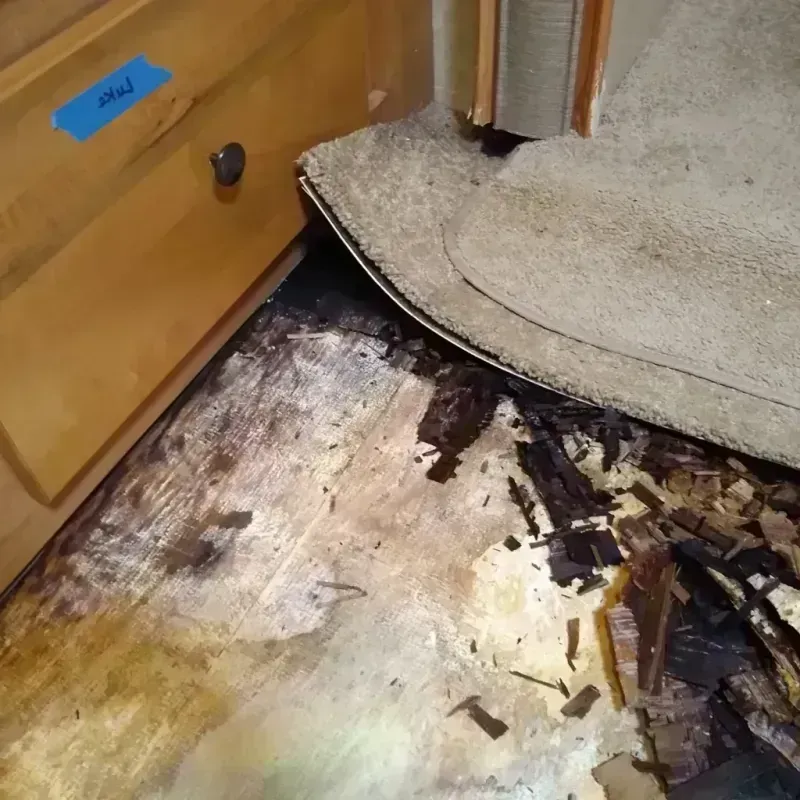 Best Wood Floor Water Damage Service in Marathon County, WI